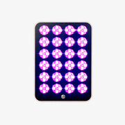 Mini Red Light Wellness Panel