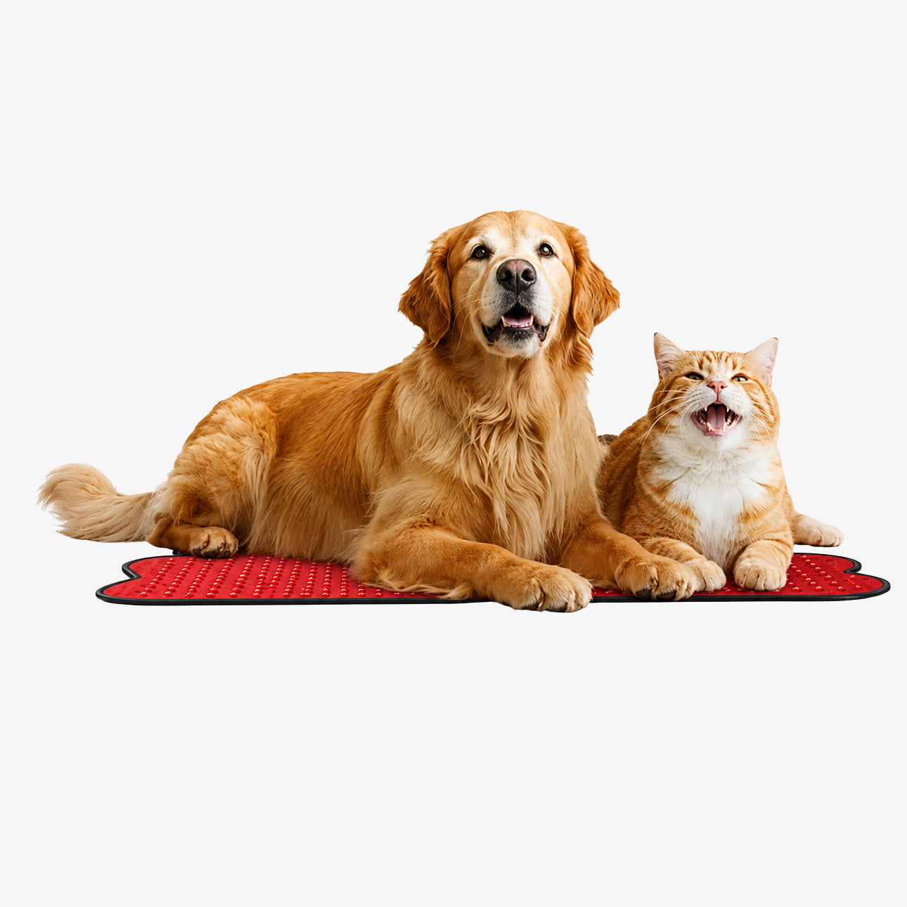 Red Infrared Light Recovery Pad for Pets