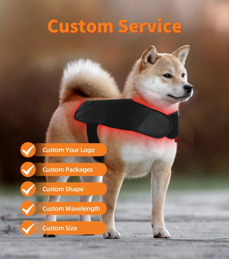Pet Dog Back 160pcs Belly Small Medium Large Red Light Back Pet Therapy 660nm 850nm Collar Pets Wrap Vest Therapy Blanket