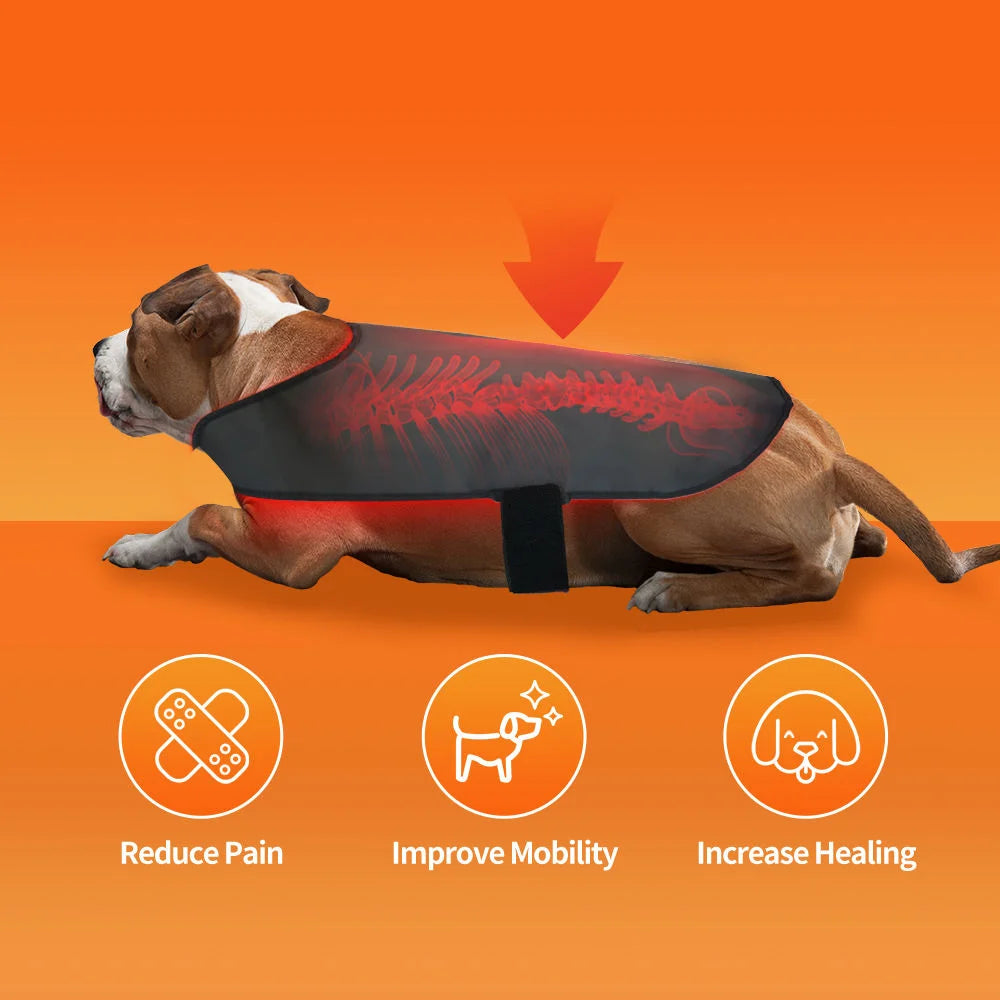 Pet Dog Back 160pcs Belly Small Medium Large Red Light Back Pet Therapy 660nm 850nm Collar Pets Wrap Vest Therapy Blanket