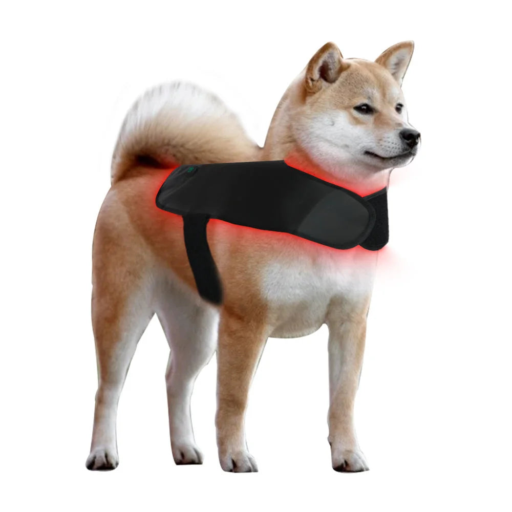 Pet Dog Back 160pcs Belly Small Medium Large Red Light Back Pet Therapy 660nm 850nm Collar Pets Wrap Vest Therapy Blanket