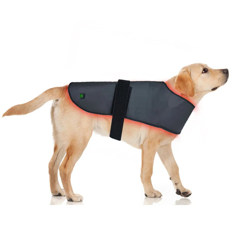 Pet Dog Back 160pcs Belly Small Medium Large Red Light Back Pet Therapy 660nm 850nm Collar Pets Wrap Vest Therapy Blanket