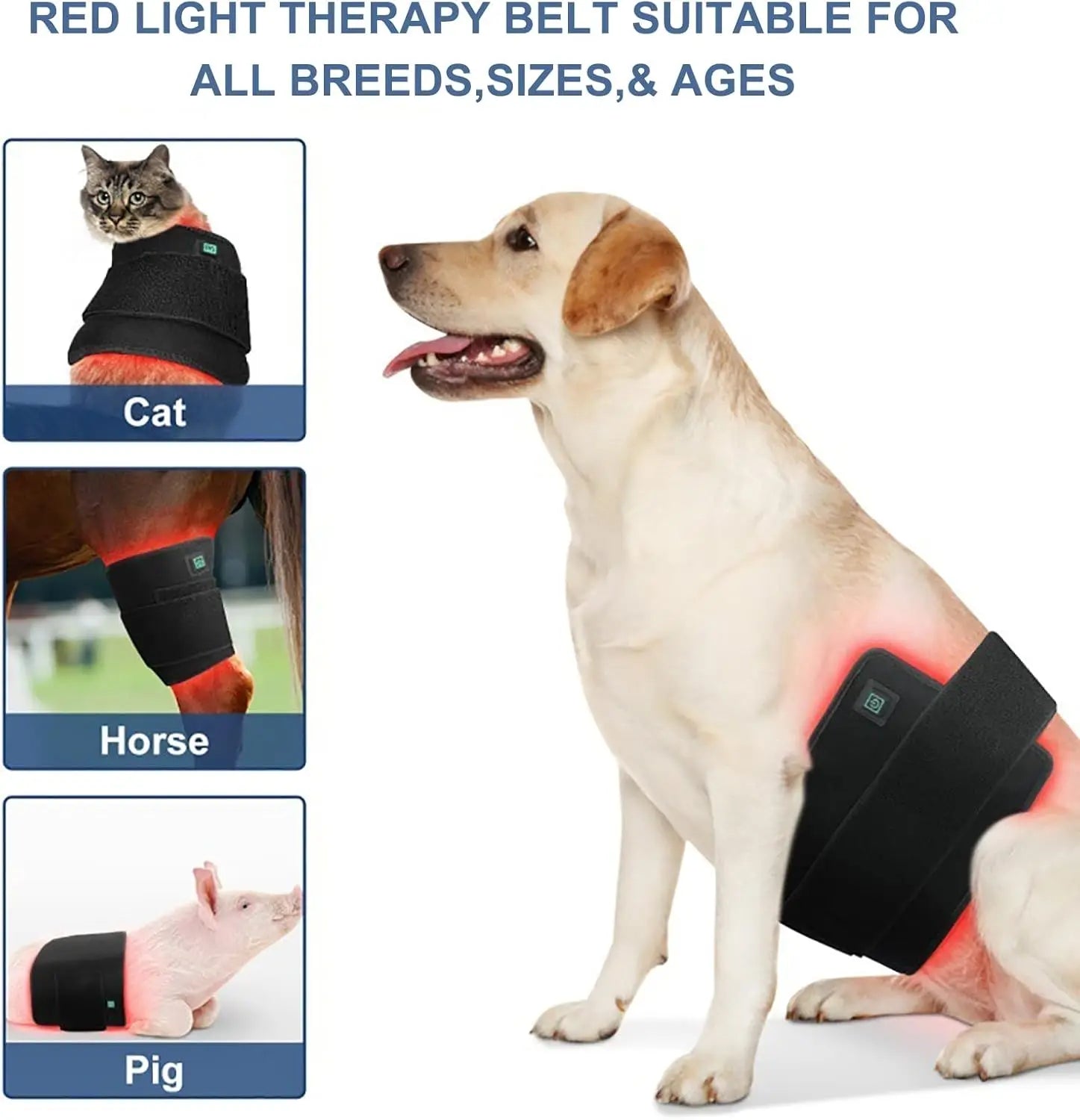 Pet Dog Back 160pcs Belly Small Medium Large Red Light Back Pet Therapy 660nm 850nm Collar Pets Wrap Vest Therapy Blanket