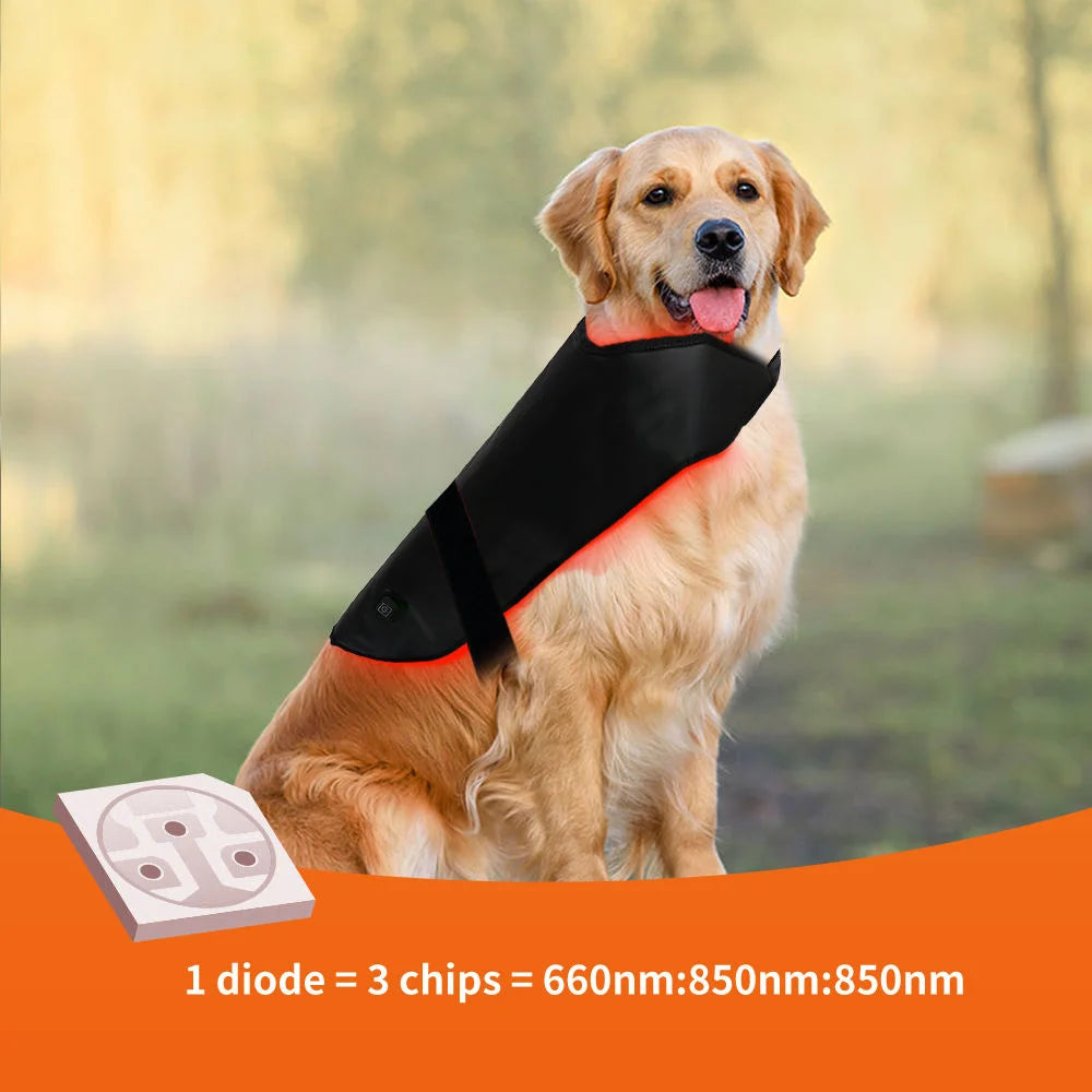 Pet Dog Back 160pcs Belly Small Medium Large Red Light Back Pet Therapy 660nm 850nm Collar Pets Wrap Vest Therapy Blanket